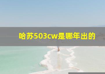 哈苏503cw是哪年出的