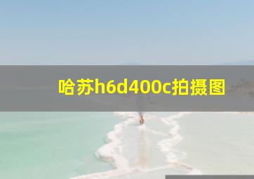 哈苏h6d400c拍摄图