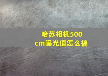 哈苏相机500cm曝光值怎么搞