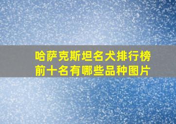 哈萨克斯坦名犬排行榜前十名有哪些品种图片