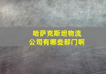 哈萨克斯坦物流公司有哪些部门啊