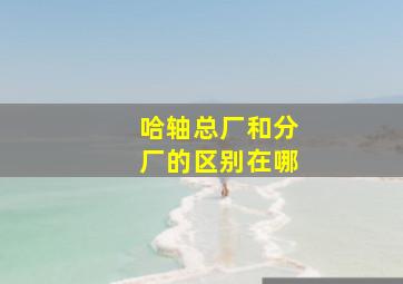 哈轴总厂和分厂的区别在哪