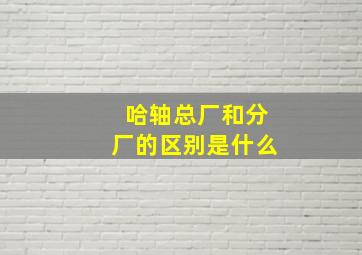 哈轴总厂和分厂的区别是什么