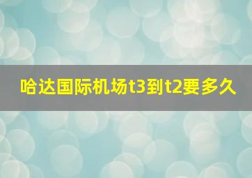 哈达国际机场t3到t2要多久