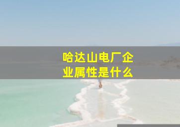 哈达山电厂企业属性是什么