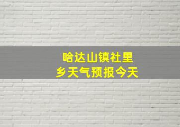 哈达山镇社里乡天气预报今天