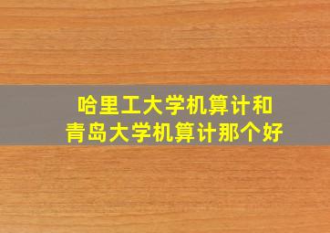 哈里工大学机算计和青岛大学机算计那个好