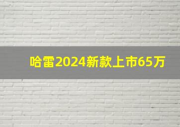 哈雷2024新款上市65万