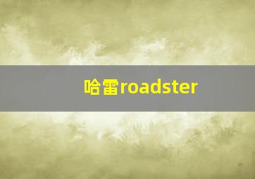 哈雷roadster