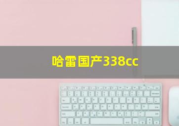 哈雷国产338cc