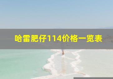 哈雷肥仔114价格一览表