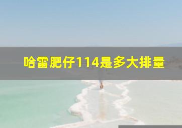 哈雷肥仔114是多大排量