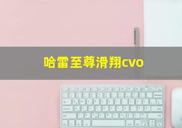 哈雷至尊滑翔cvo