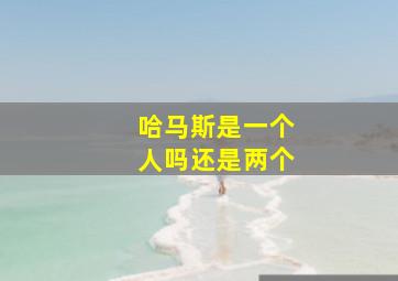 哈马斯是一个人吗还是两个