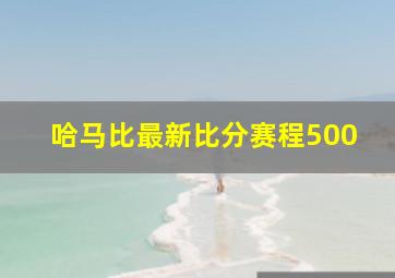 哈马比最新比分赛程500