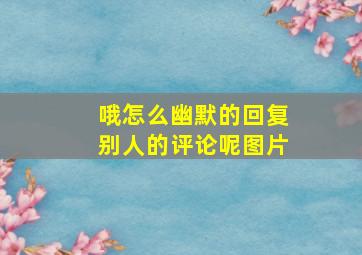 哦怎么幽默的回复别人的评论呢图片