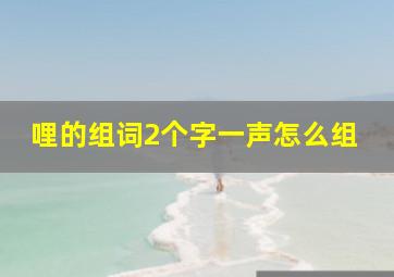 哩的组词2个字一声怎么组