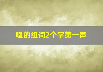 哩的组词2个字第一声