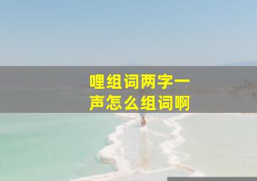 哩组词两字一声怎么组词啊