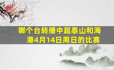 哪个台转播中超泰山和海港4月14日周日的比赛