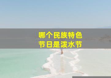 哪个民族特色节日是泼水节