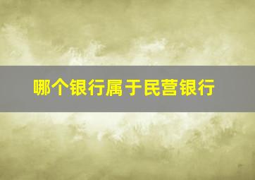 哪个银行属于民营银行