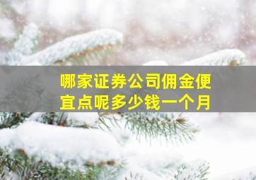 哪家证券公司佣金便宜点呢多少钱一个月