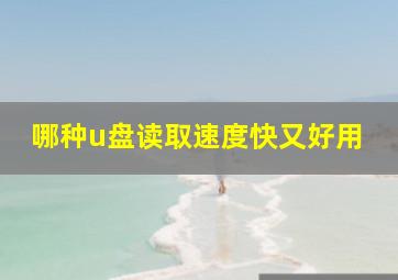 哪种u盘读取速度快又好用