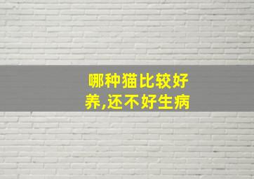 哪种猫比较好养,还不好生病