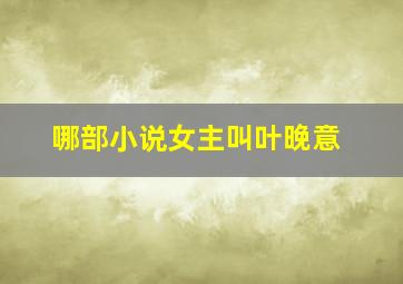 哪部小说女主叫叶晚意