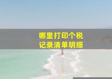 哪里打印个税记录清单明细