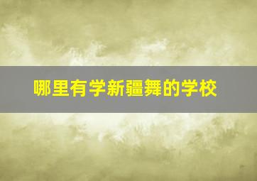 哪里有学新疆舞的学校