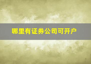 哪里有证券公司可开户