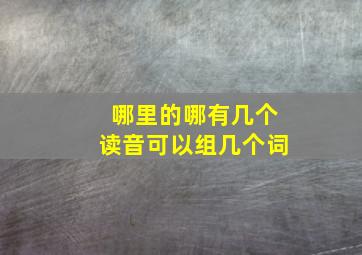 哪里的哪有几个读音可以组几个词