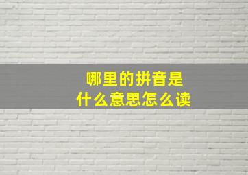 哪里的拼音是什么意思怎么读