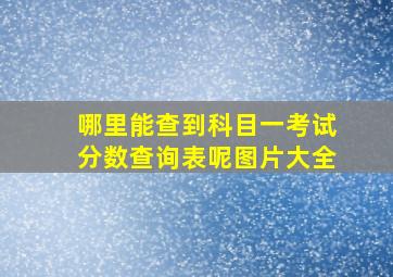 哪里能查到科目一考试分数查询表呢图片大全