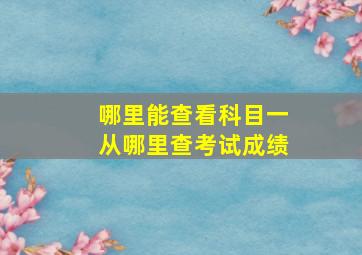 哪里能查看科目一从哪里查考试成绩