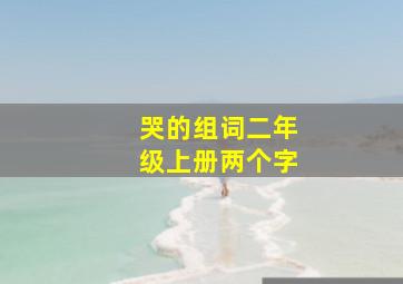 哭的组词二年级上册两个字