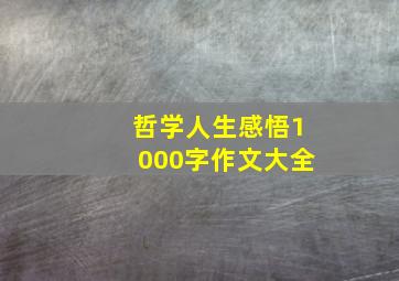 哲学人生感悟1000字作文大全