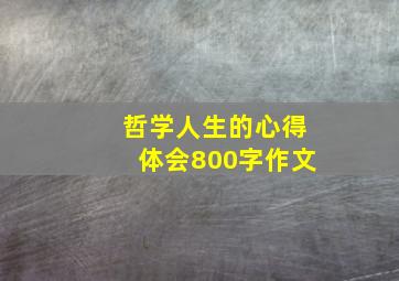 哲学人生的心得体会800字作文