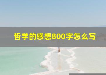 哲学的感想800字怎么写