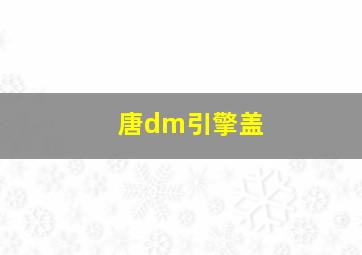 唐dm引擎盖