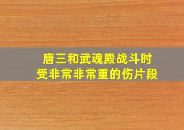 唐三和武魂殿战斗时受非常非常重的伤片段