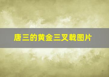 唐三的黄金三叉戟图片