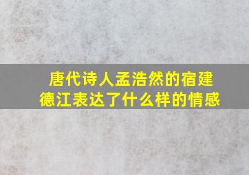 唐代诗人孟浩然的宿建德江表达了什么样的情感