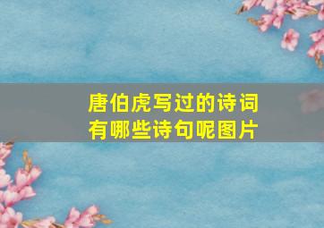 唐伯虎写过的诗词有哪些诗句呢图片