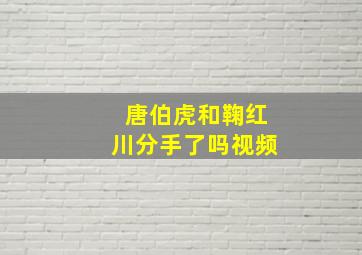 唐伯虎和鞠红川分手了吗视频