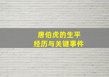 唐伯虎的生平经历与关键事件