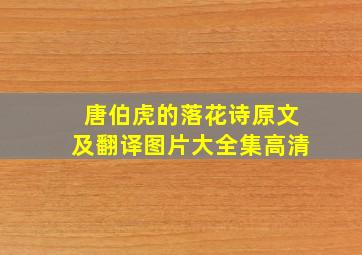 唐伯虎的落花诗原文及翻译图片大全集高清