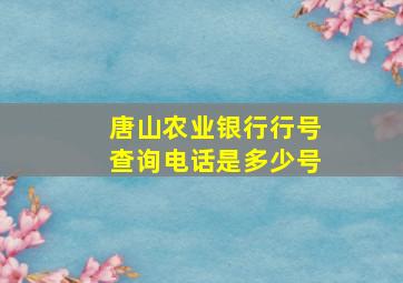 唐山农业银行行号查询电话是多少号